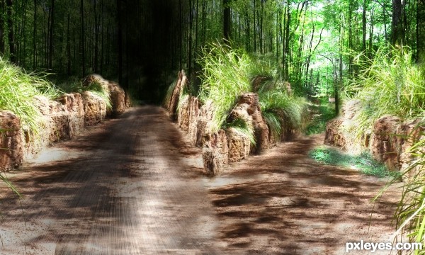 Creation of Fork in the Road: Step 5