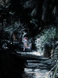 dream chase Picture
