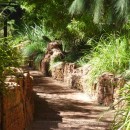 path source image