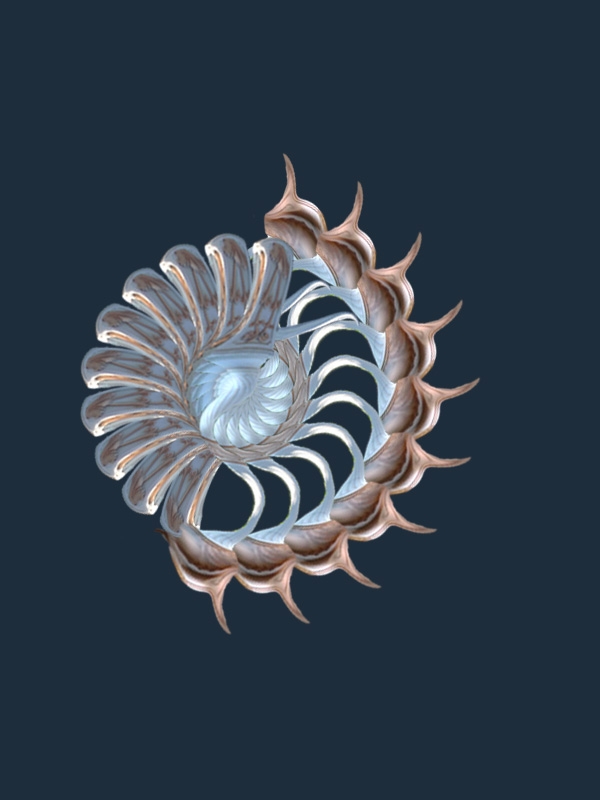 Creation of Ornament: Step 8