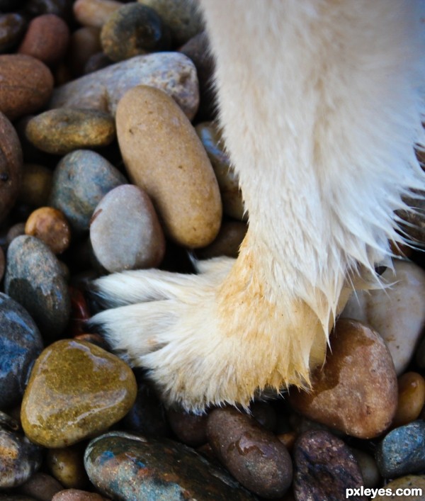 Pebble Polishing