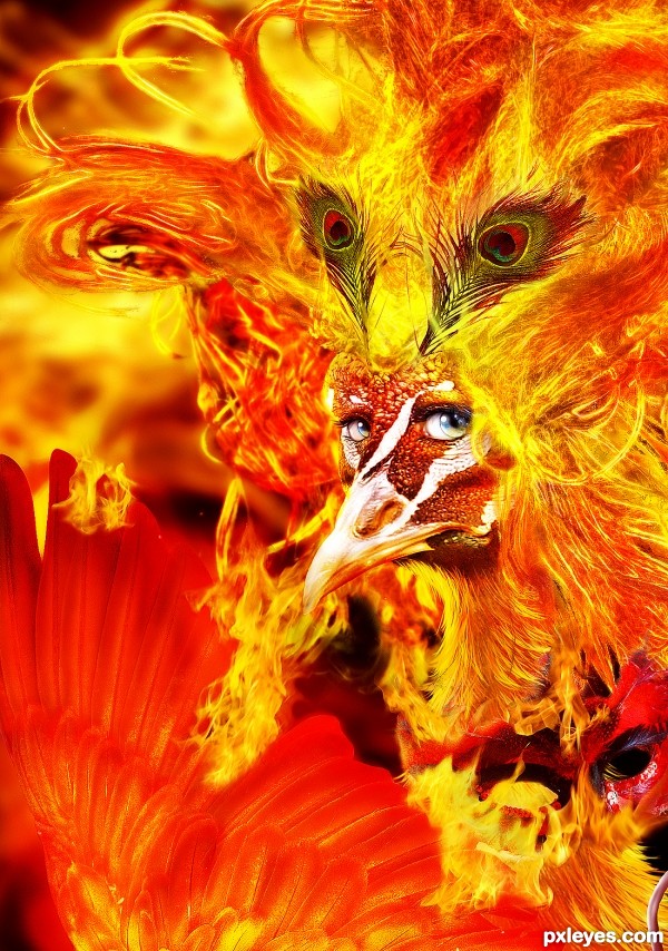 Phoenix Queen photoshop picture