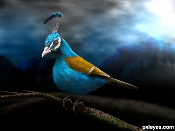 Peabird photoshop picture