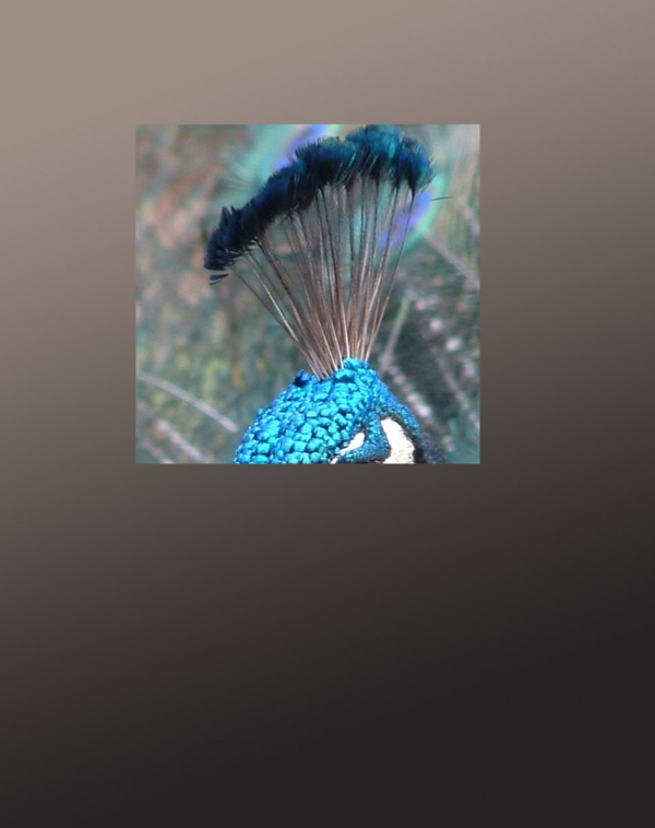 Creation of Mask In Blue: Step 2