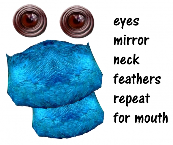 Creation of The Blue Aye Aye: Step 4