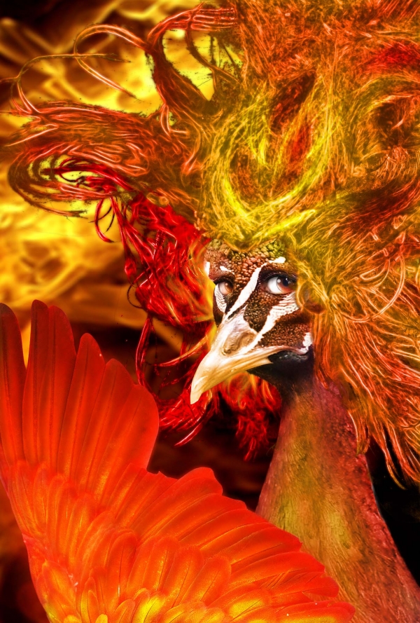 Creation of Phoenix Queen: Step 26