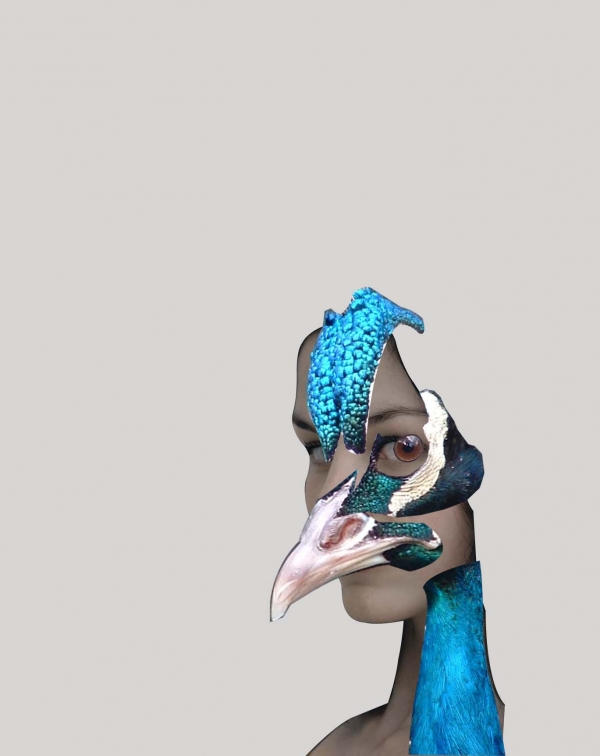 Creation of Phoenix Queen: Step 1