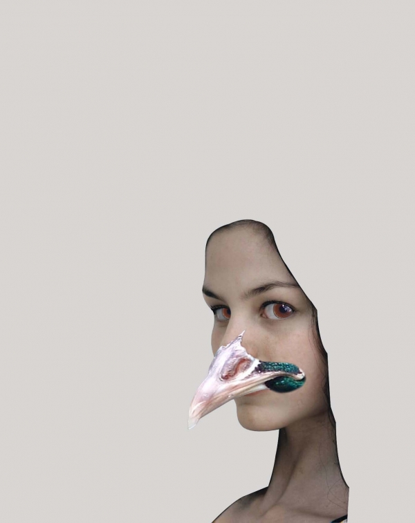 Creation of Phoenix Queen: Step 4