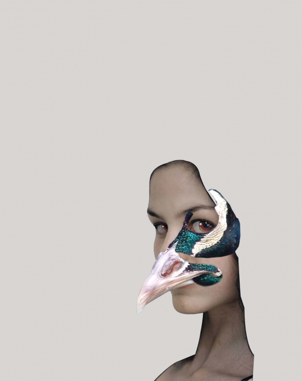 Creation of Phoenix Queen: Step 6