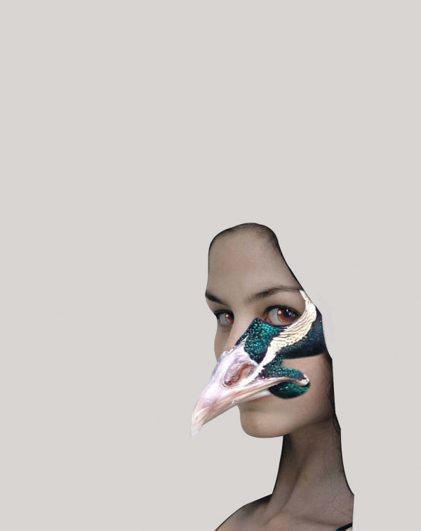 Creation of Phoenix Queen: Step 8