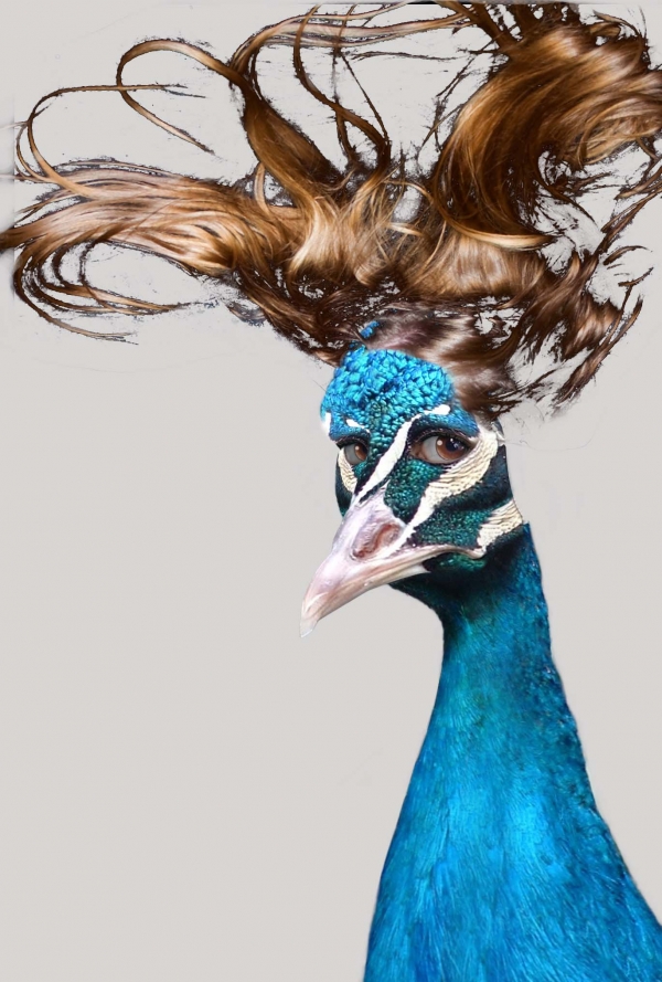 Creation of Phoenix Queen: Step 16