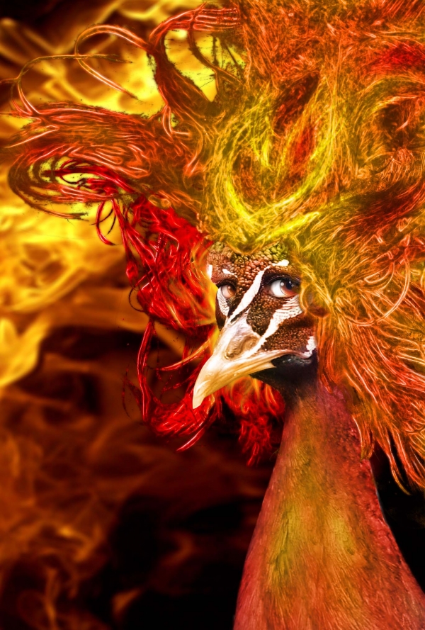 Creation of Phoenix Queen: Step 22