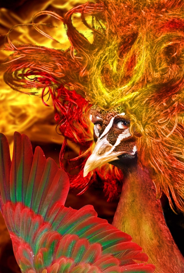 Creation of Phoenix Queen: Step 24