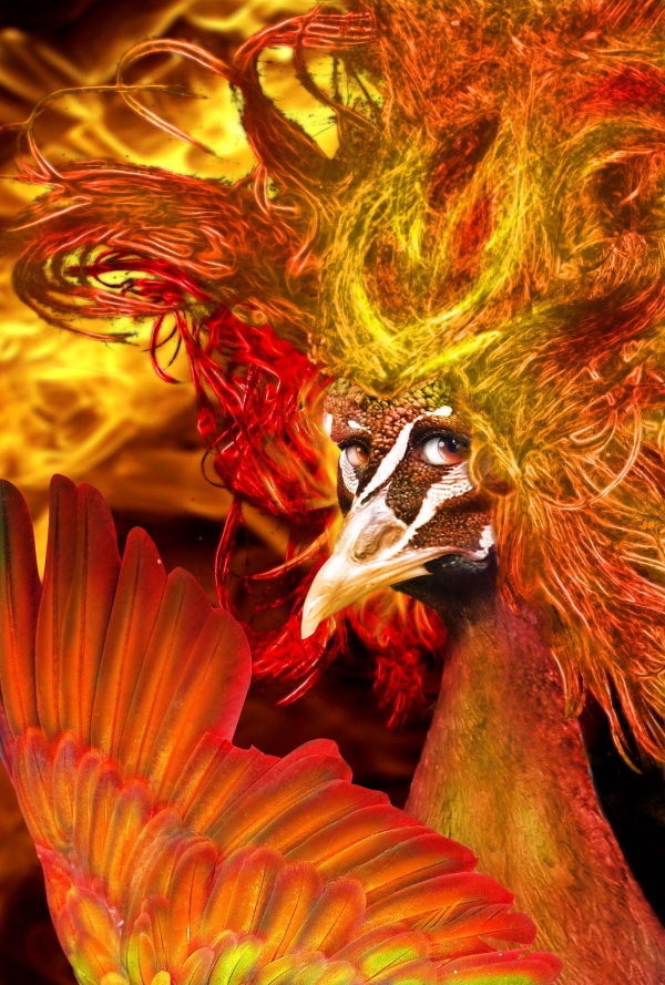 Creation of Phoenix Queen: Step 25