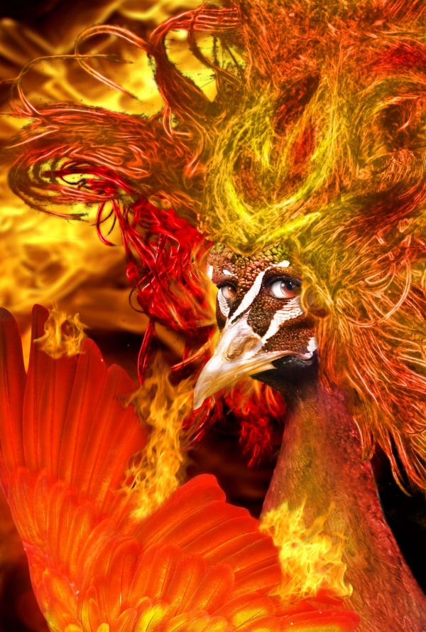 Creation of Phoenix Queen: Step 27
