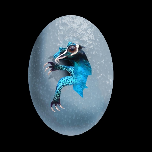 Creation of The Nest: Step 8
