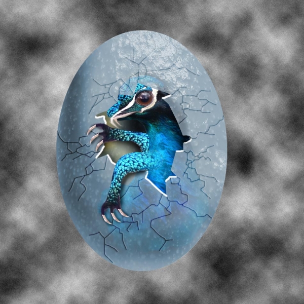 Creation of The Nest: Step 9
