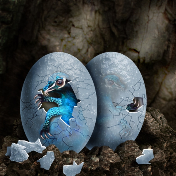 Creation of The Nest: Step 14