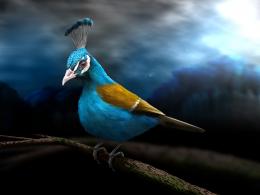 Peabird