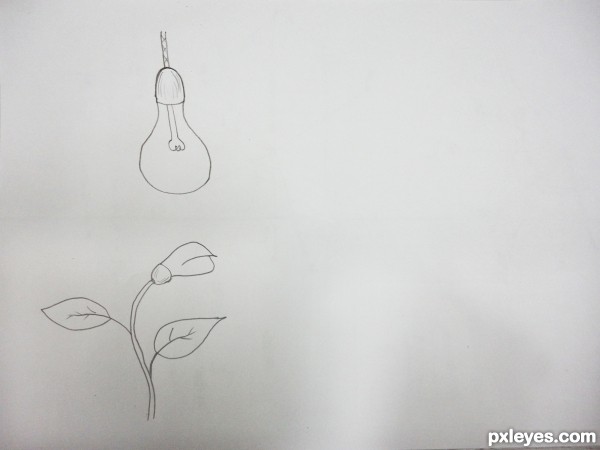 Creation of Bulby Flower: Step 2