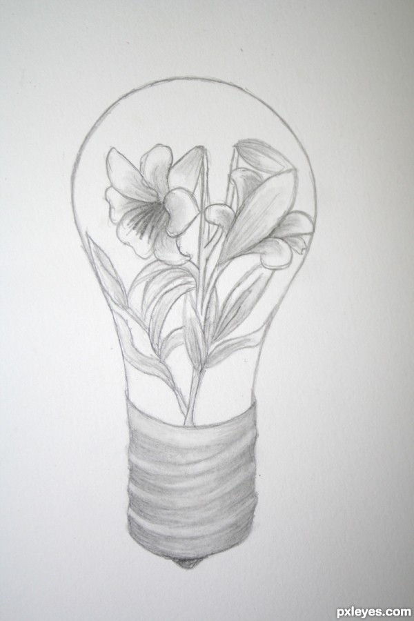 Creation of L&L: Step 3