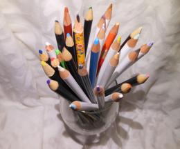 Pencil Bouquet
