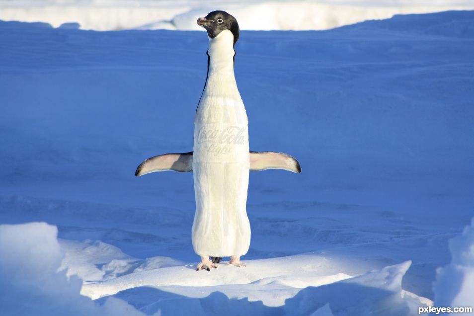 Icy Penguin Cola