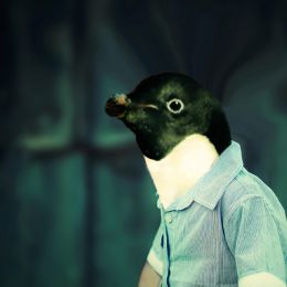 LonelyPenguin