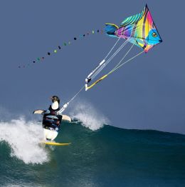 Surf