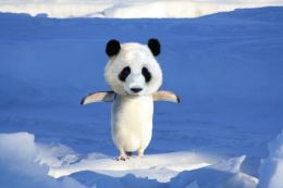 Pandartic