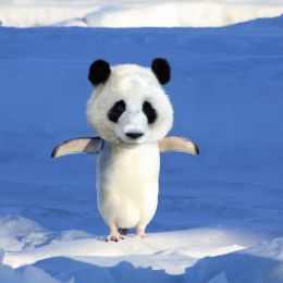 Pandartic