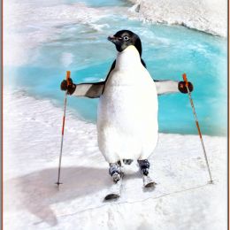 SkiingPenguin