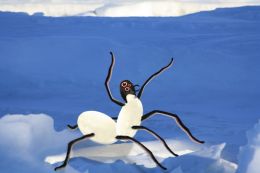 Ice Spider