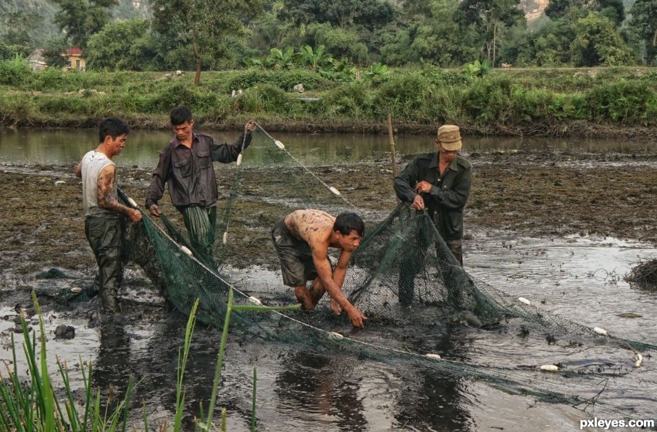 Fishermen of Tam Coc