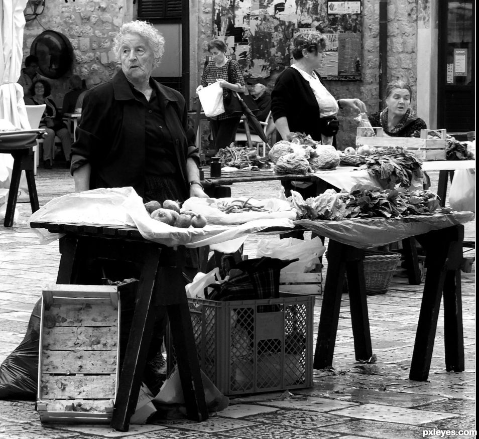 Vegetable Stallholder