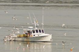 Lobstermen