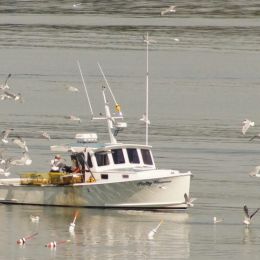 Lobstermen