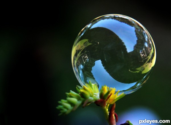 Soap bubble