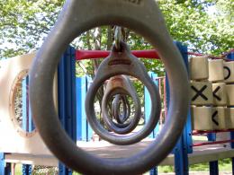 Circle Monkey Bars