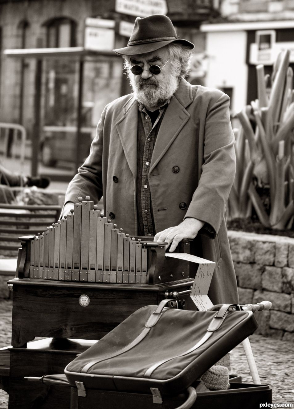 Barrel organ player