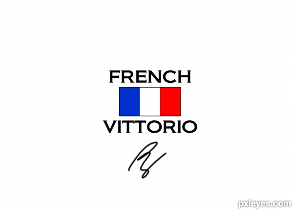 Creation of VITTORIO: Step 6