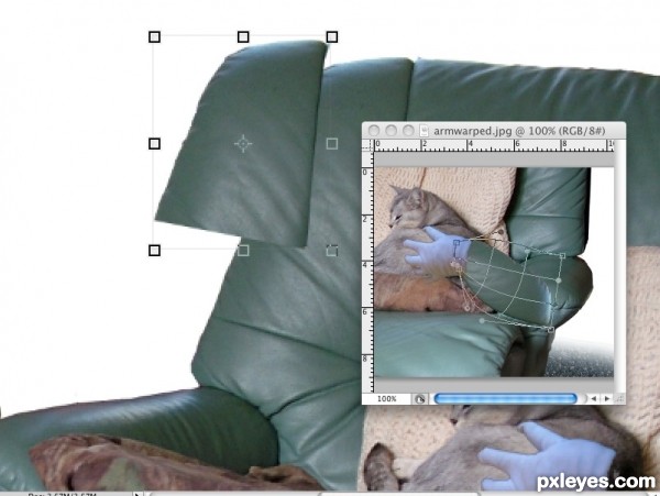 Creation of Comfy Cat: Step 1