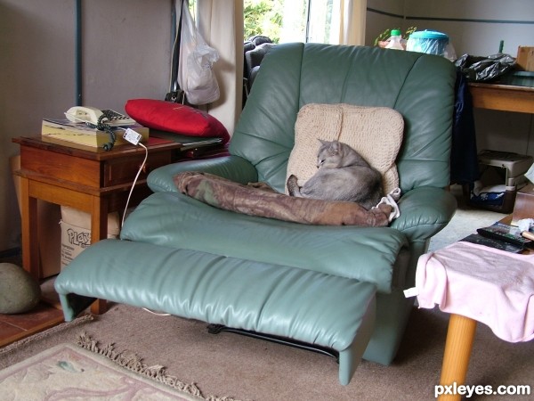 Creation of Comfy Cat: Step 7