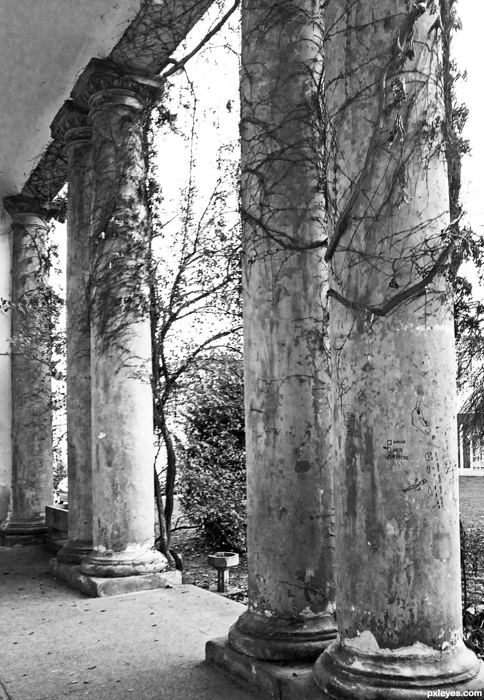 Ancient Columns