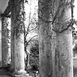 Ancient Columns Picture