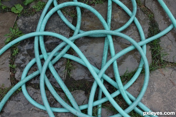 Leaving the garden hose tangled up