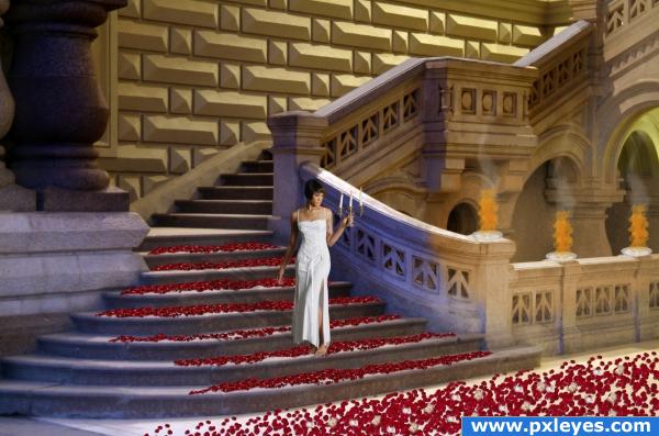 Petals on the stairs