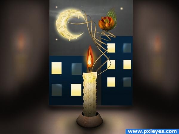 Candle,Flower,Moon