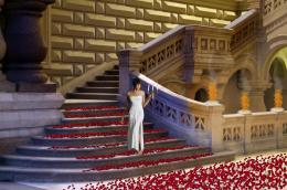 Petals on the stairs