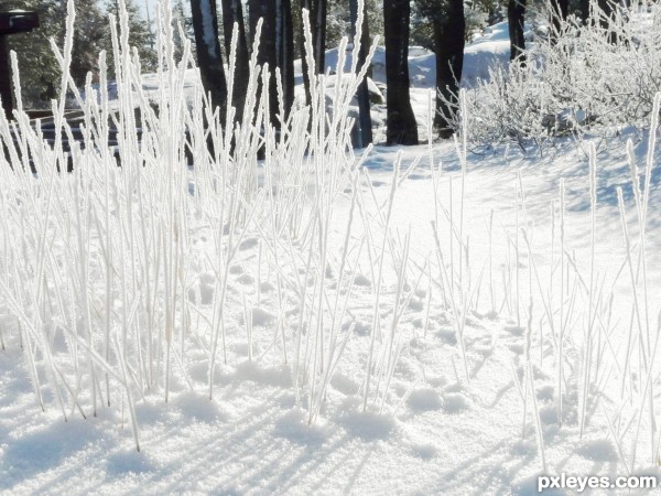 Chionophobia- Fear of snow.